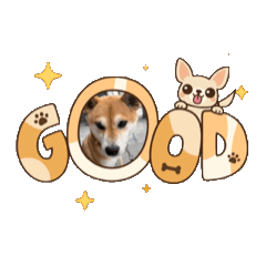 saori_20251001211453