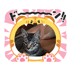 C-chan_20251001200522