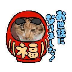 C-chan_20251001200850