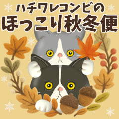 ハチワレコンビのほっこり秋冬便