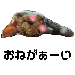 C-chan_20251001195820