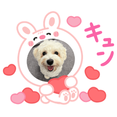 mimipin_20251001211154
