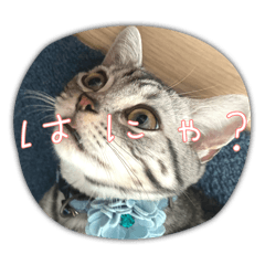 nanako_20251001212702