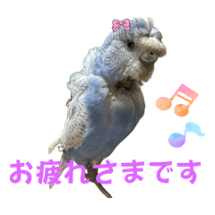 mizuki_20251001212335