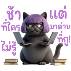 เหมียวเหมียว แมวคูล