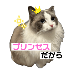 mizuki_20251001222729