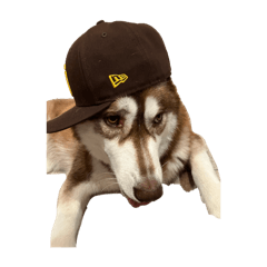 Y_20251001222508