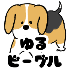 yurui  Beagle