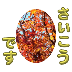 Autumn stamps including autumn leaves.