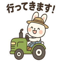 Farm Bunny Days