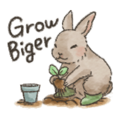 Rabbit's very small Garden