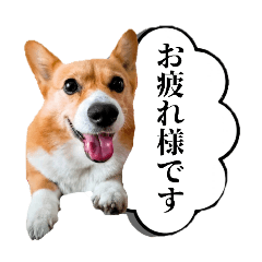 satomin_20251001162204