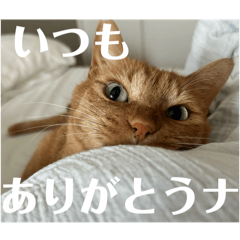 ohagi_20251001172800