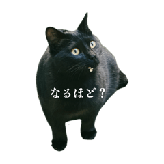 T_20251001172751