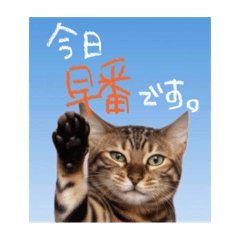 Yuzuki_20251001224726