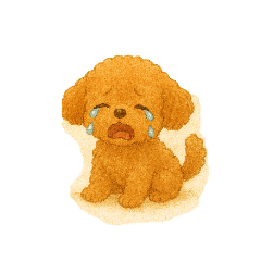 ANGIE_20251001175246