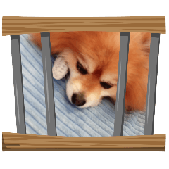 NATSU_20251001175511