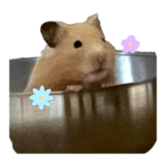 Uririn_20251001231154