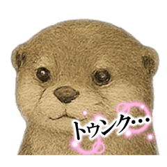 shior_20251001232817