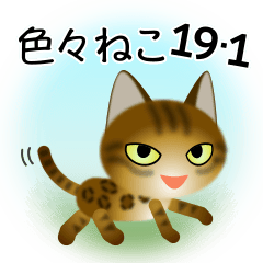 色々な猫19-1 短毛-立ち耳-ヒョウ