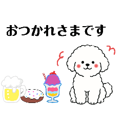 気遣いなビションフリーゼ　便利な日常会話