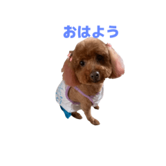 M_20251001181203