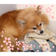 NATSU_20251001181449