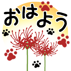 Cluster amaryllis and footprints