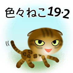 色々な猫19-2 短毛-垂れ耳-ヒョウ