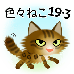 色々な猫19-3 長毛-立ち耳-ヒョウ