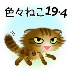 色々な猫19-4 長毛-垂れ耳-ヒョウ