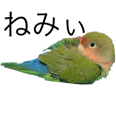 Agepann_20251002001515