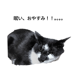 niico_20251002063254