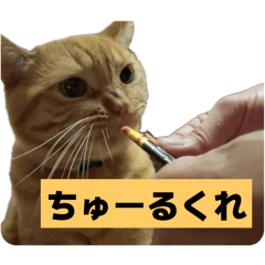 yuto_20251002064658
