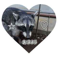 sugar_20251002071308