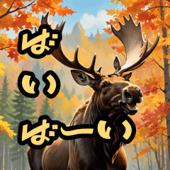 Moose_Autumn Winter prep begins