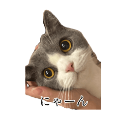 saku_20251001185909