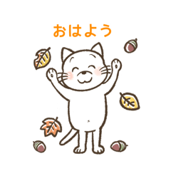 monacamo_20251002121455