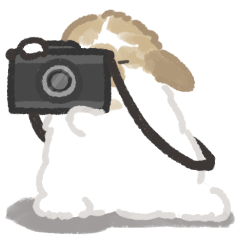 Say Cheese, Bunny