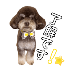 kazumi_20251002001752