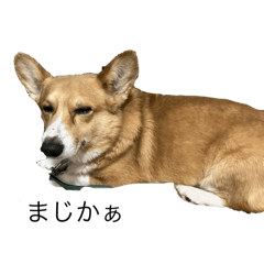 M_20251001190655