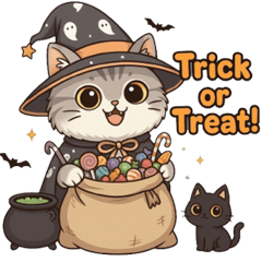 Maew Vel the Little Wizard
