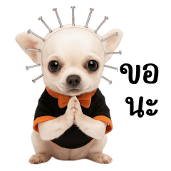 Scary Pinhead Chihuahua (BIG)