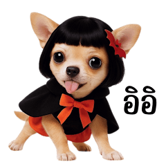 Cute Chihuahua Girl Halloween (BIG)