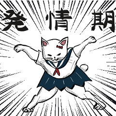 Shiho-chan 2 (forced bipedal cat)