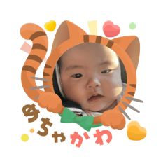 komun_20251001235206