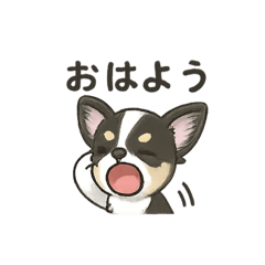 yun_20251002084559