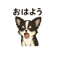 yun_20251002085212