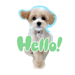 maimai_20251002085751