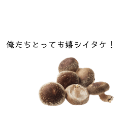 mahiro_20251001233320